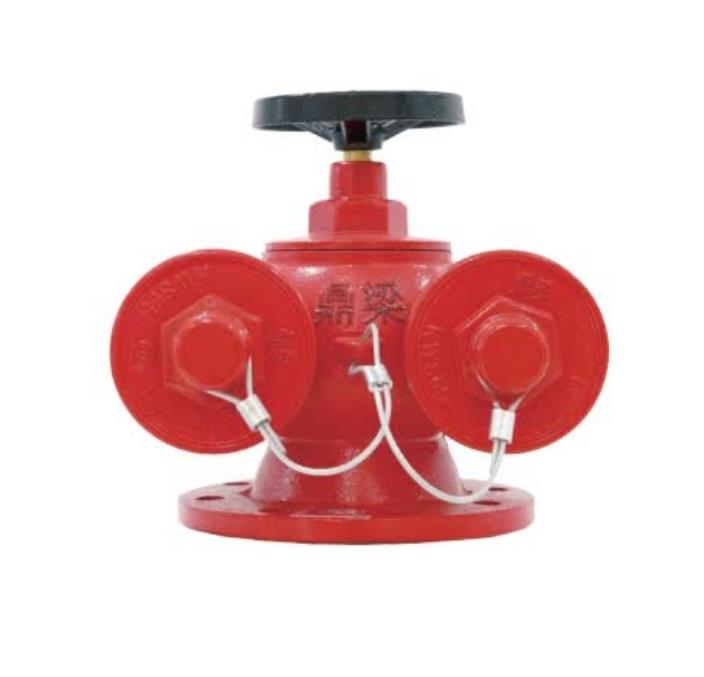 多用式消防水泵接合器